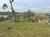 Terreno, 1000 m² - Foto 2