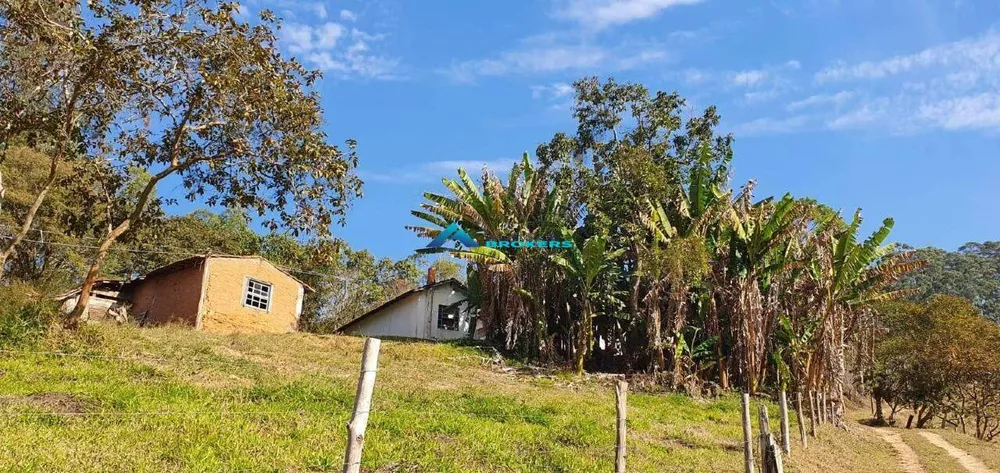 Fazenda à venda, 78000m² - Foto 1