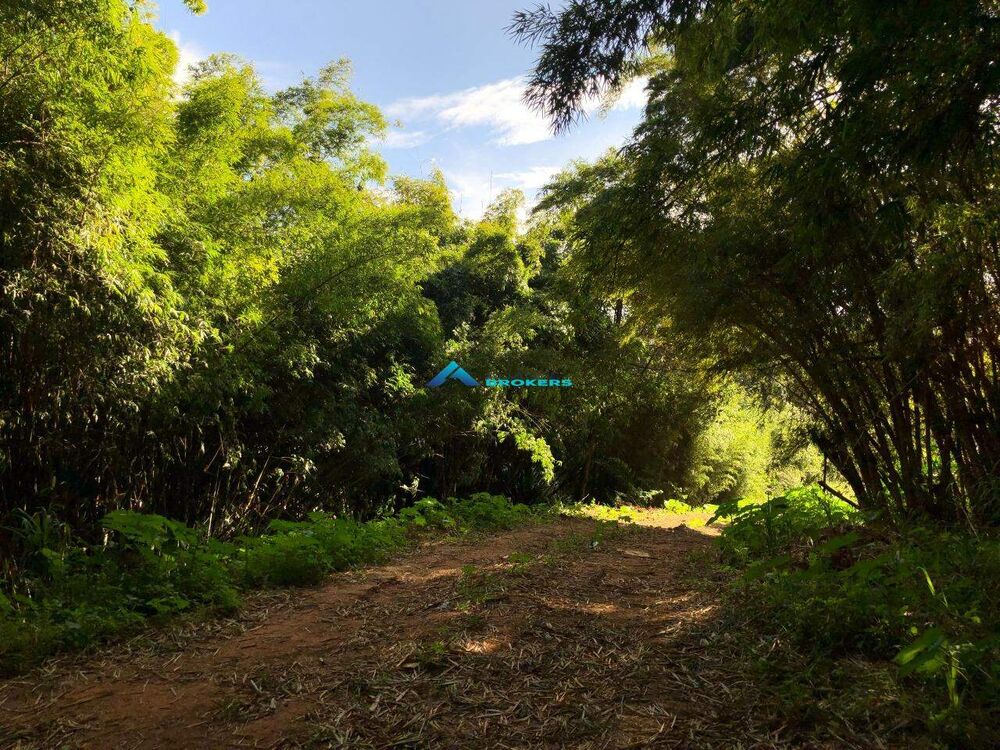 Sítio, 4 quartos, 2 hectares - Foto 23