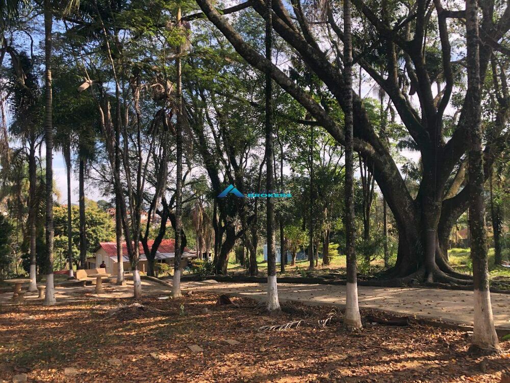 Sítio, 4 quartos, 2 hectares - Foto 6