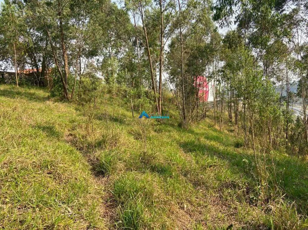 Terreno, 5141 m² - Foto 9