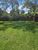 Terreno, 1000 m² - Foto 4