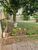Terreno, 1000 m² - Foto 1