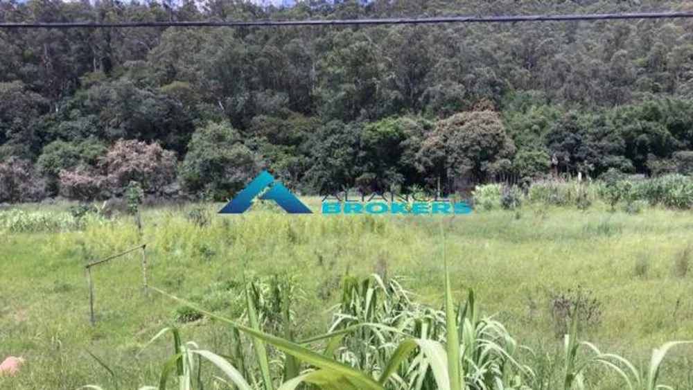 Terreno, 7 hectares - Foto 3
