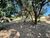 Terreno, 1150 m² - Foto 14