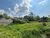 Terreno, 500 m² - Foto 4