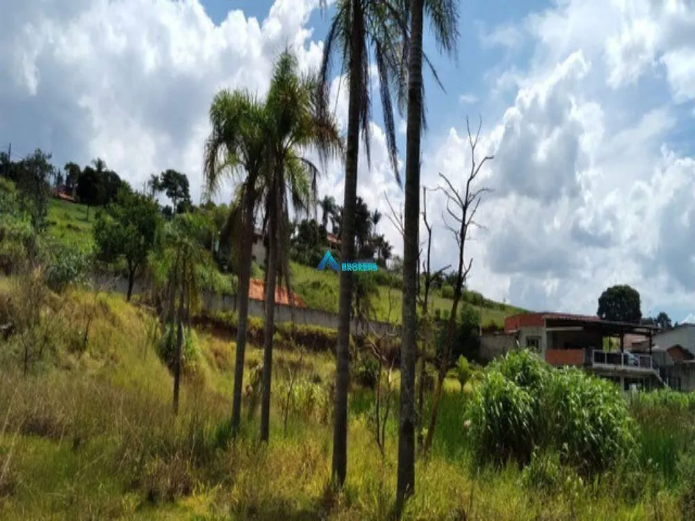 Terreno, 1 hectares - Foto 4