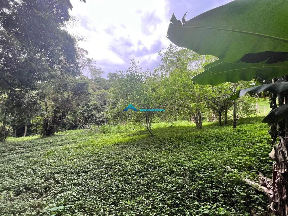 Terreno, 2 hectares - Foto 6