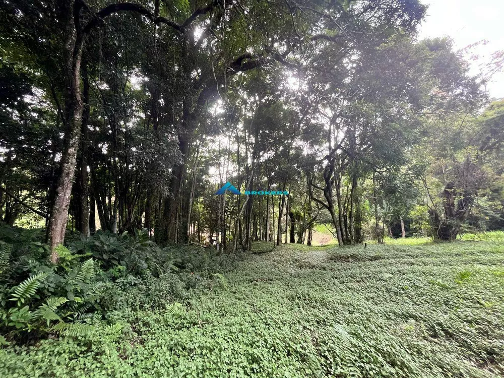 Terreno, 2 hectares - Foto 7