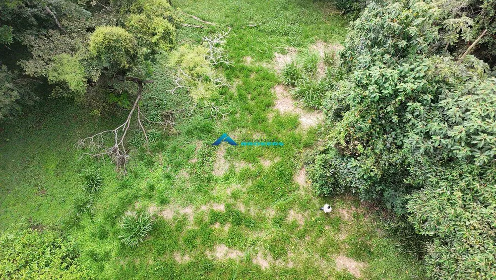 Terreno, 2 hectares - Foto 12