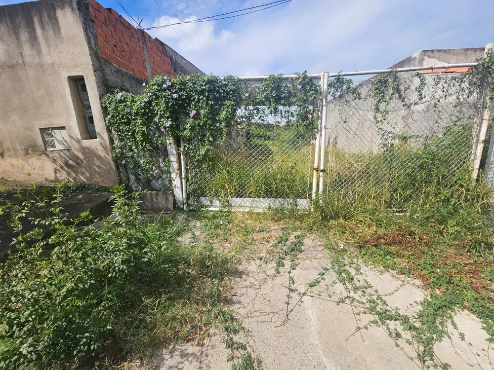 Terreno - Foto 13