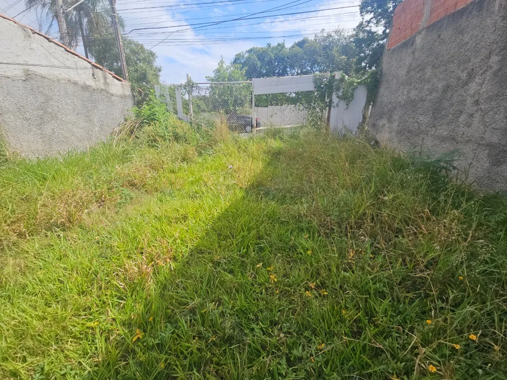 Terreno - Foto 3