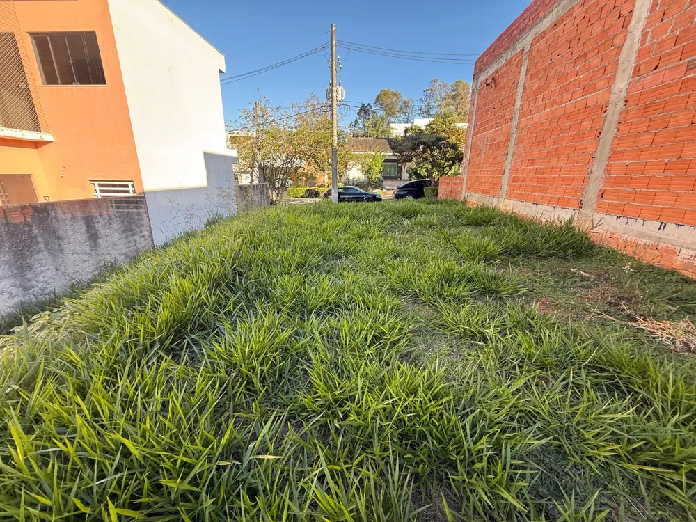 Terreno, 300 m² - Foto 5