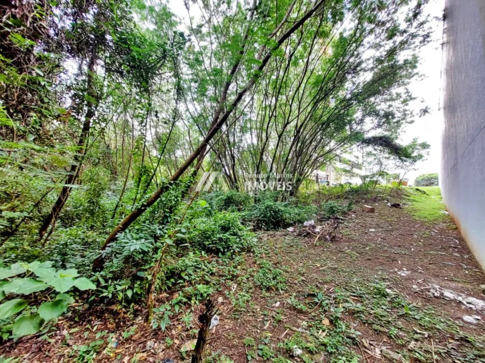 Terreno, 960 m² - Foto 3