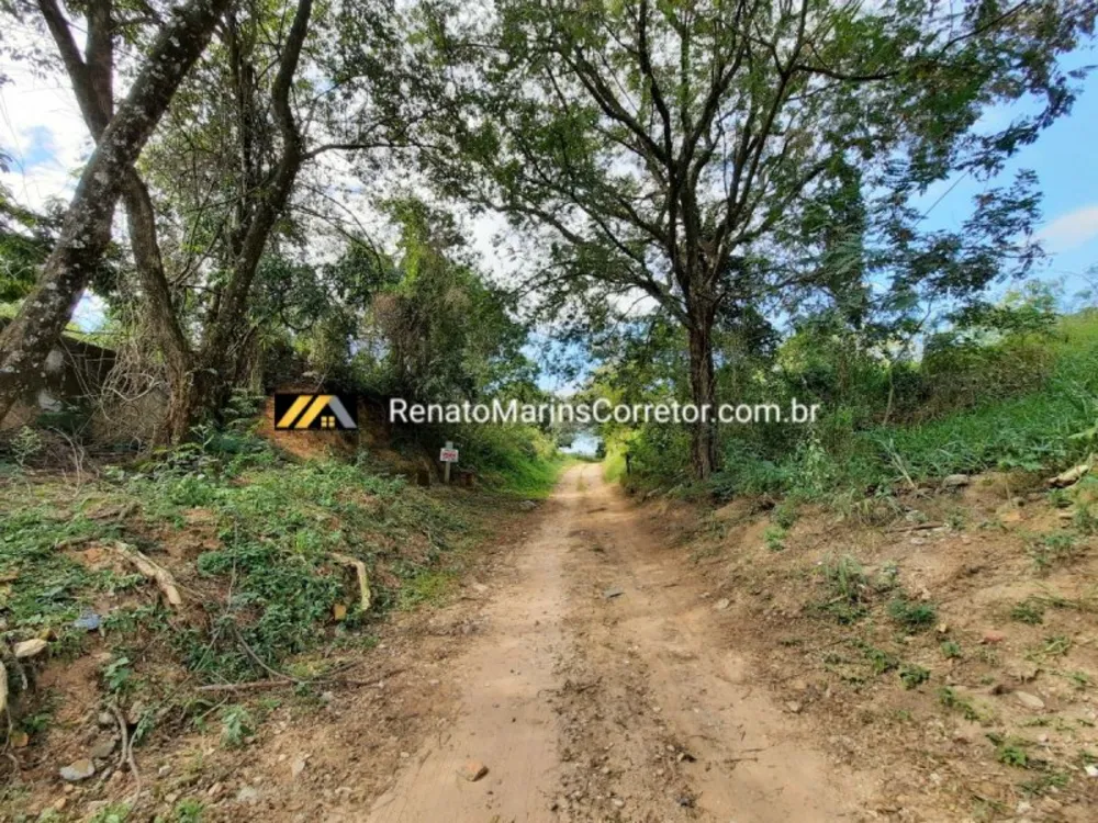 Terreno, 10 hectares - Foto 4