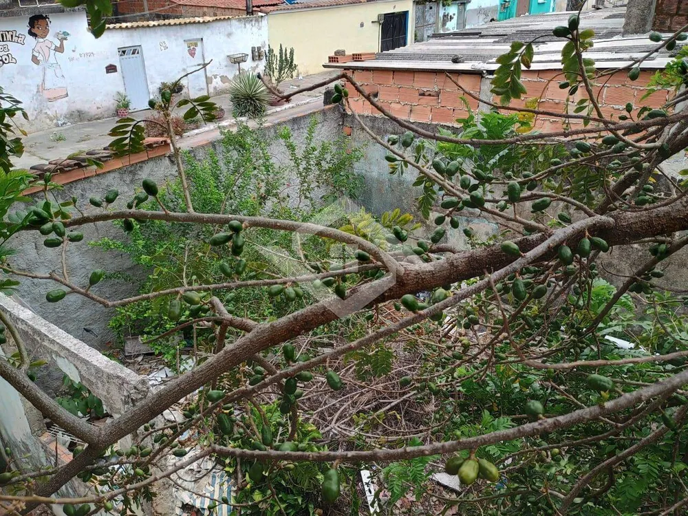 Casa, 5 quartos, 250 m² - Foto 11