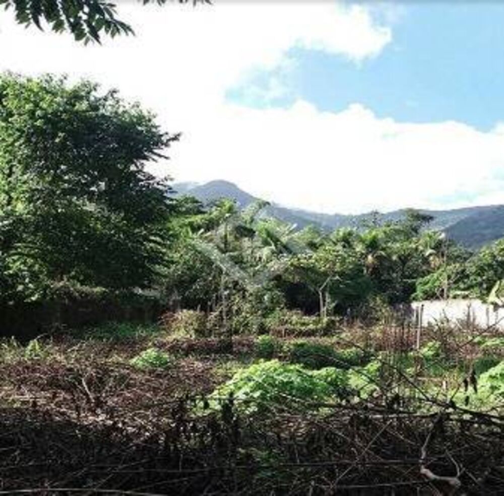 Terreno, 1300 m² - Foto 3