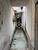 Loja-Salão, 70 m² - Foto 4