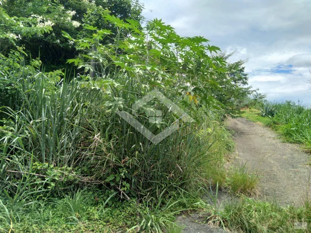 Terreno, 261 m² - Foto 5