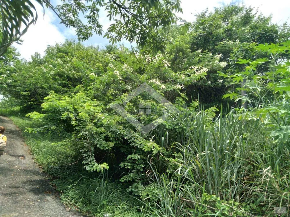 Terreno, 261 m² - Foto 4