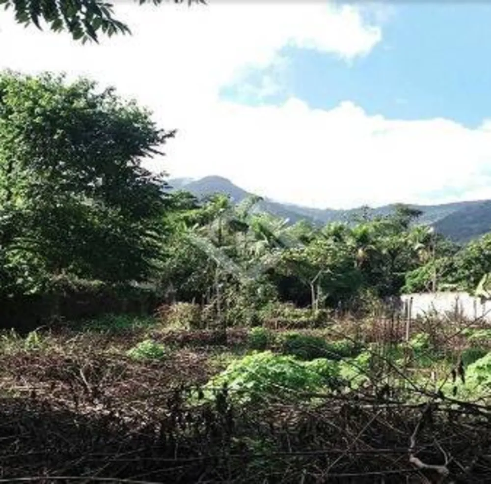 Terreno, 1300 m² - Foto 5