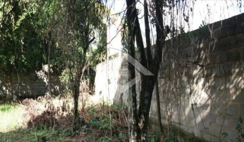 Terreno, 1300 m² - Foto 4