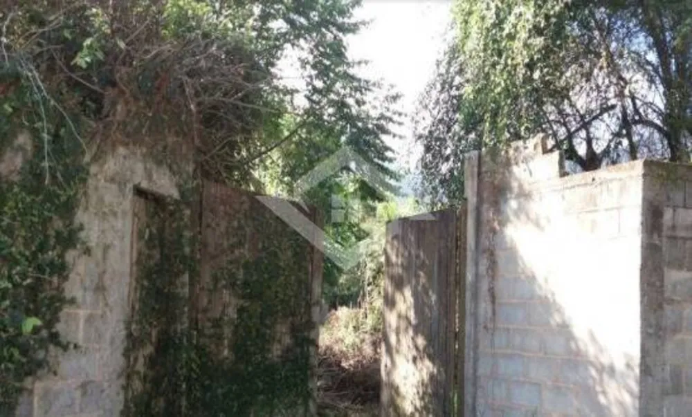 Terreno, 1300 m² - Foto 3
