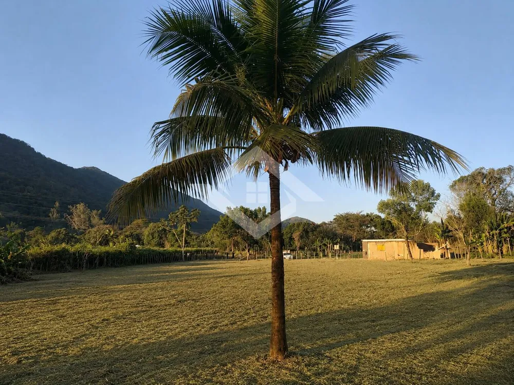 Terreno, 3000 m² - Foto 1