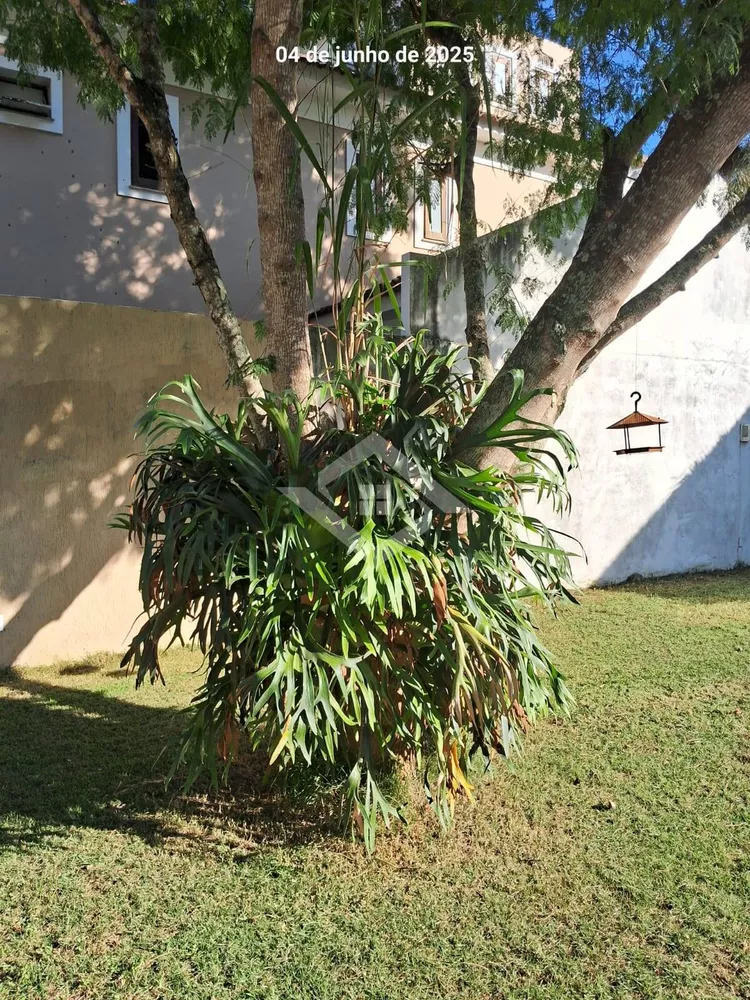 Casa, 4 quartos, 320 m² - Foto 16