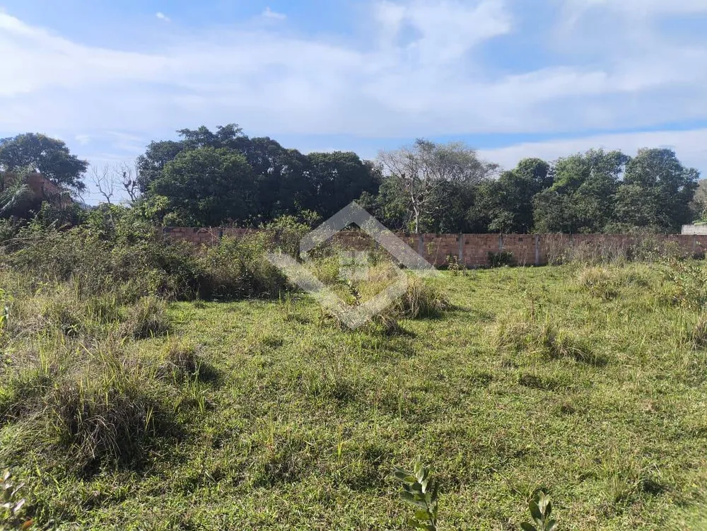 Terreno, 5000 m² - Foto 8