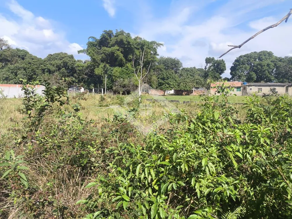 Terreno, 5000 m² - Foto 3