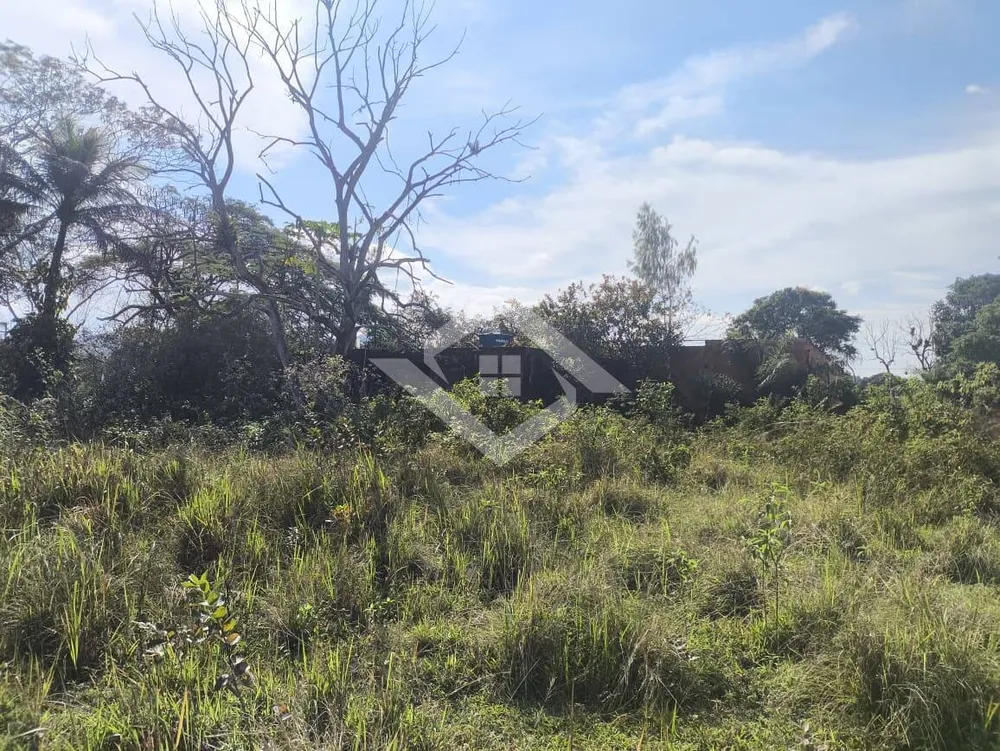 Terreno, 5000 m² - Foto 4