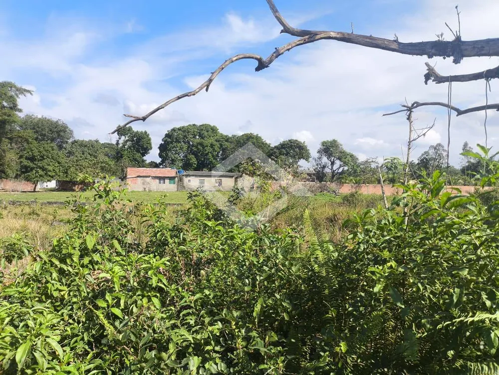 Terreno, 5000 m² - Foto 5