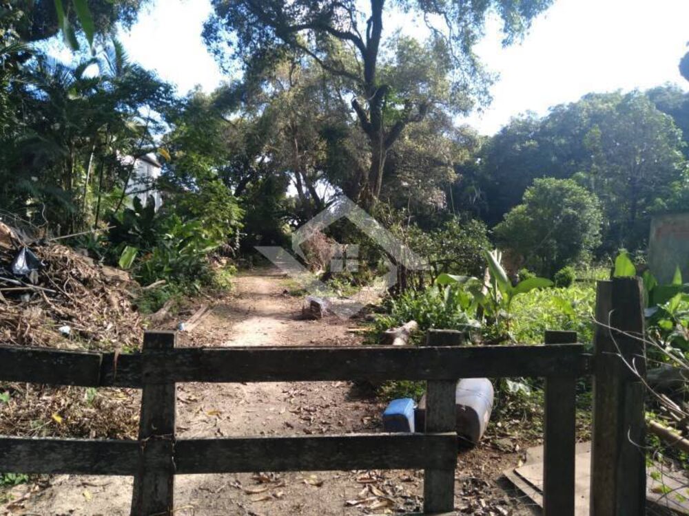 Terreno, 10000 m² - Foto 2