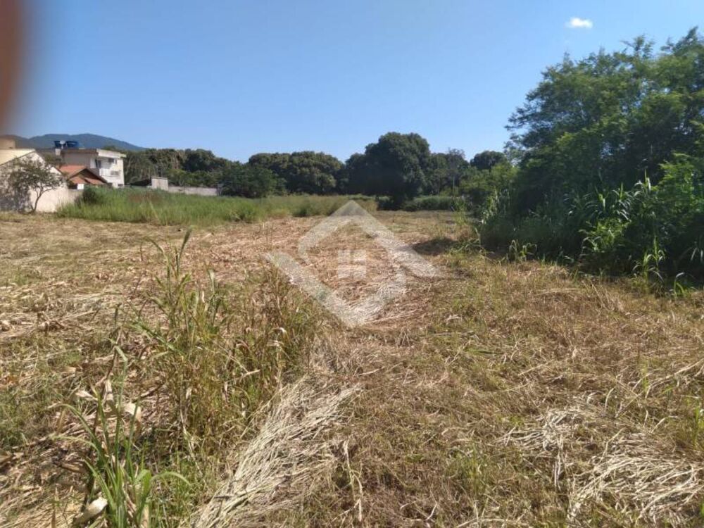 Terreno, 10000 m² - Foto 3