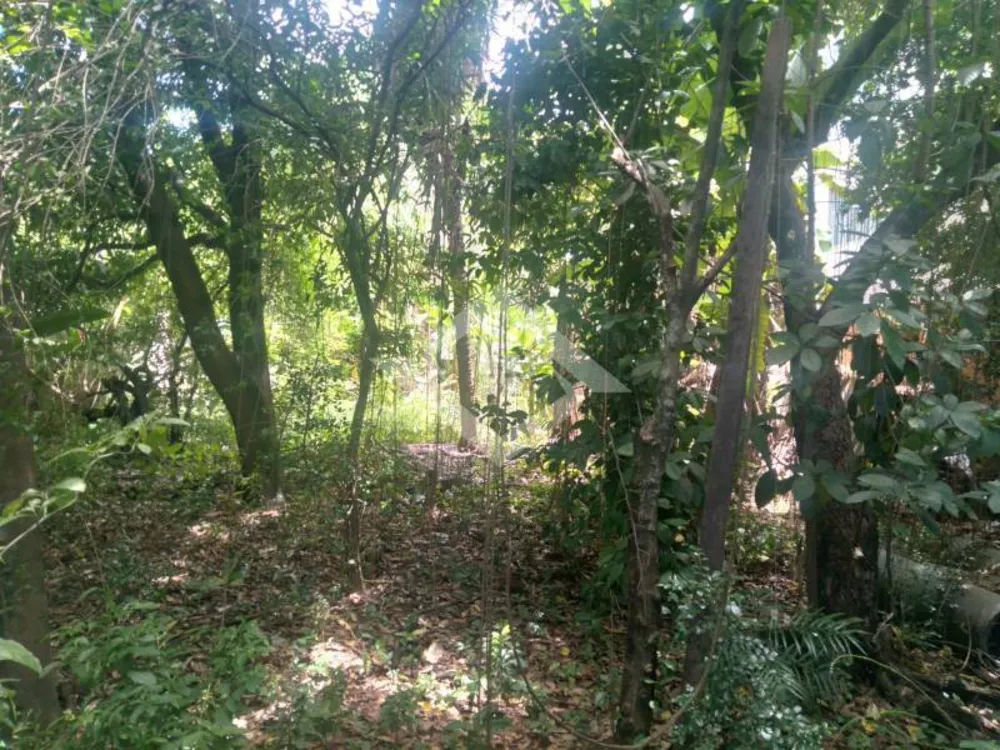 Terreno, 1200 m² - Foto 3