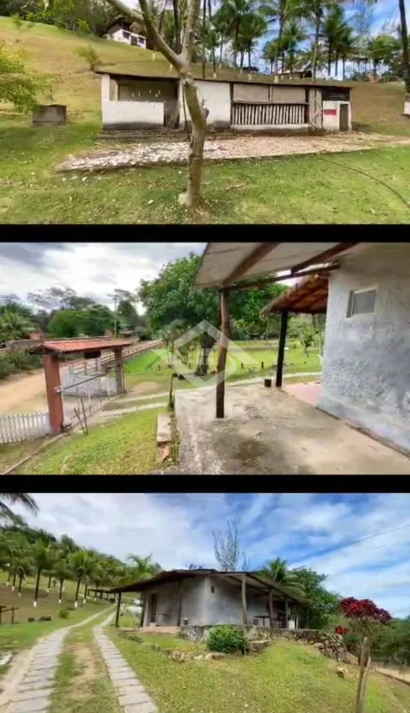 Sítio, 4 quartos, 7 hectares - Foto 3