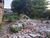 Terreno, 1000 m² - Foto 4