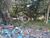 Terreno, 1000 m² - Foto 2