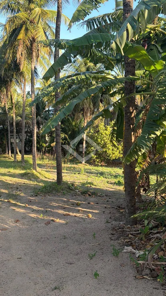 Terreno, 10000 m² - Foto 5