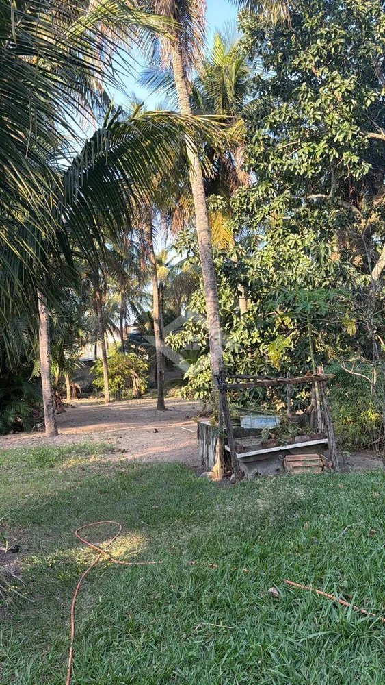Terreno, 10000 m² - Foto 6