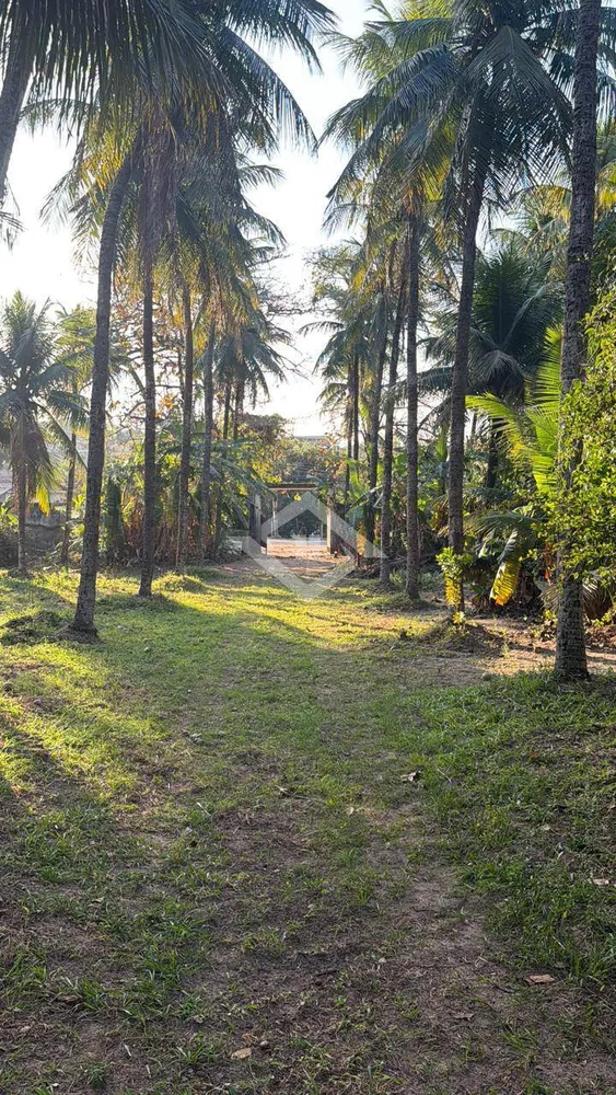 Terreno, 10000 m² - Foto 1