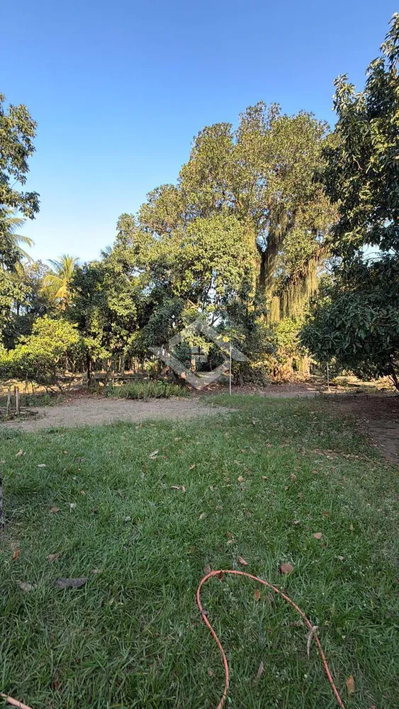 Terreno, 10000 m² - Foto 7