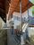 Casa, 3 quartos, 450 m² - Foto 3