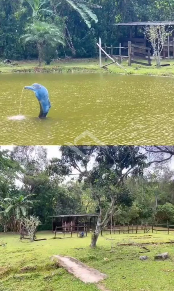 Chácara, 4 quartos, 7 hectares - Foto 32