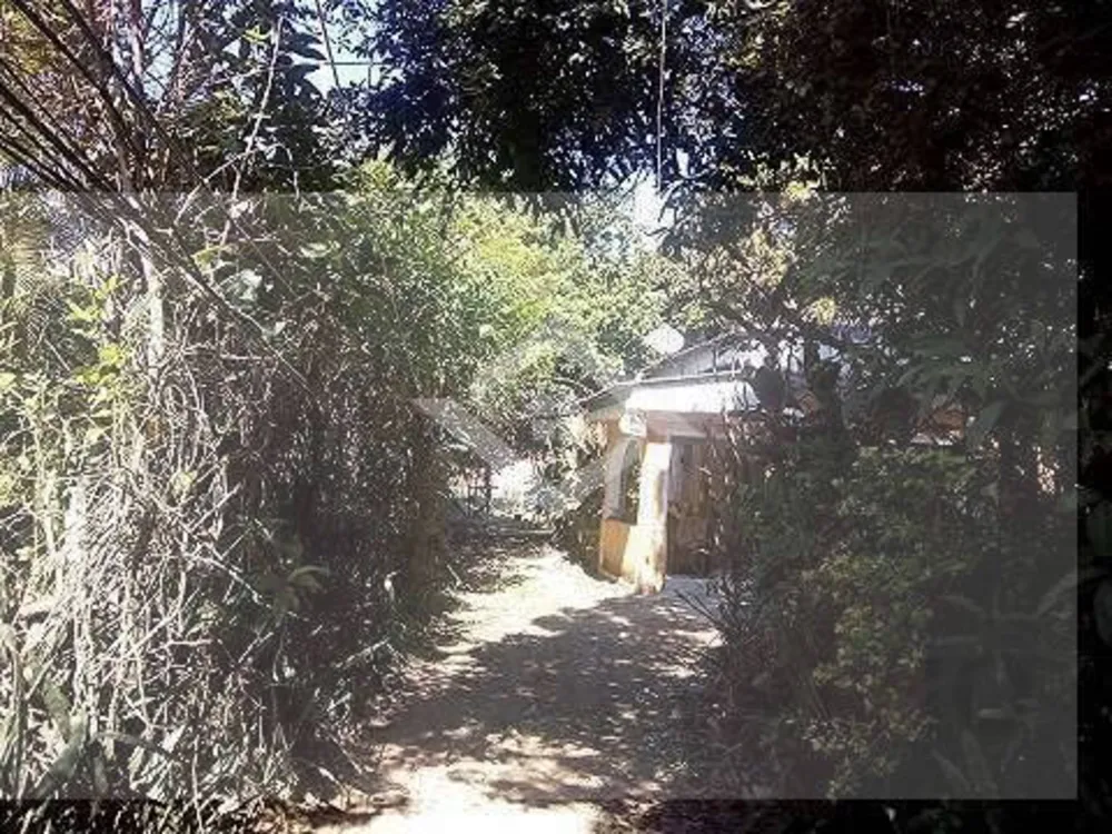 Terreno, 2000 m² - Foto 3