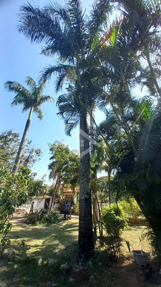 Casa, 5 quartos, 720 m² - Foto 22