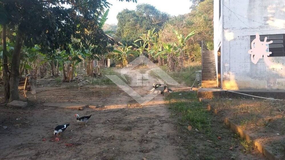 Terreno, 4 hectares - Foto 3