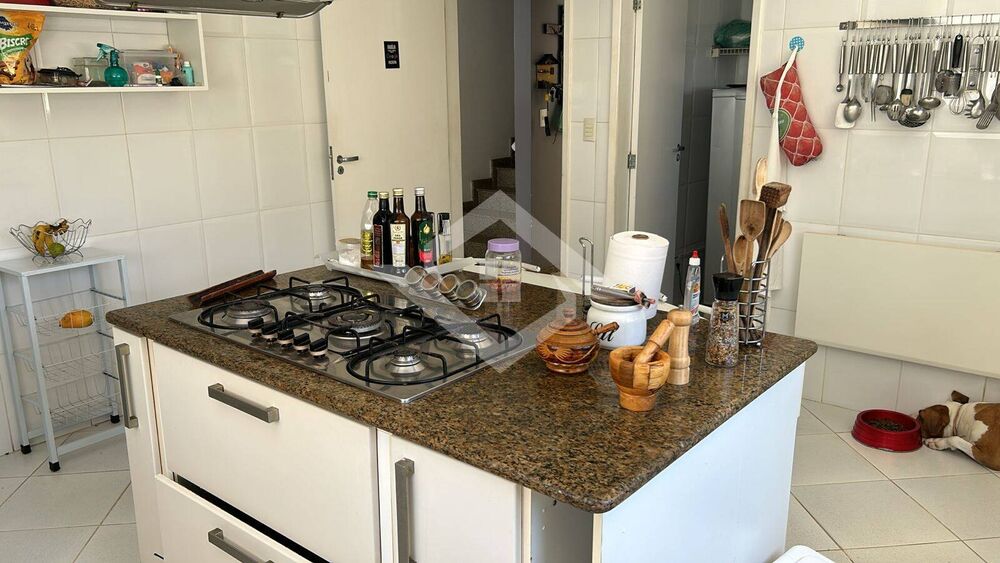 Casa, 4 quartos, 560 m² - Foto 4