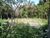 Terreno, 1000 m² - Foto 2